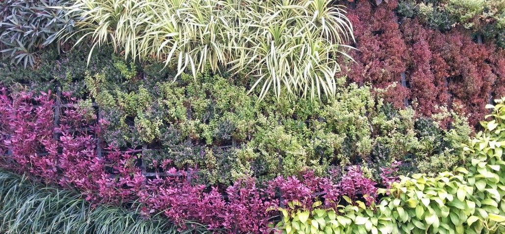 Vertical Garden Wall Texture