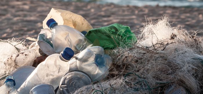 bacteri que descompon plàstic