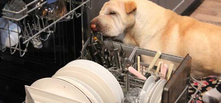 lavavajillas-eficiencia