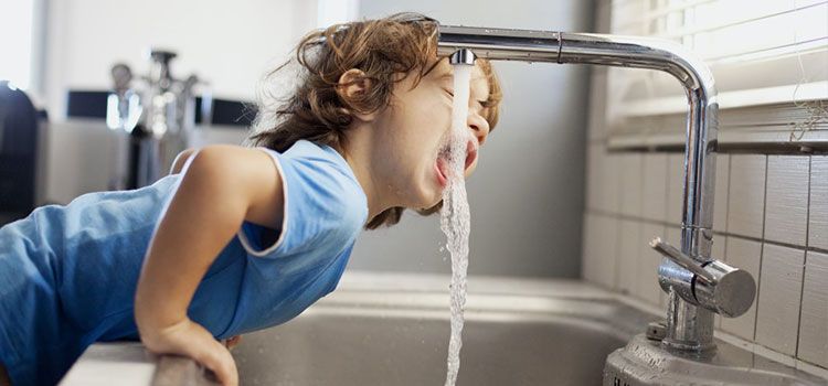 ventajas-descalcificador