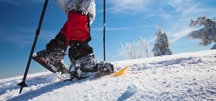 Día mundial de la nieve