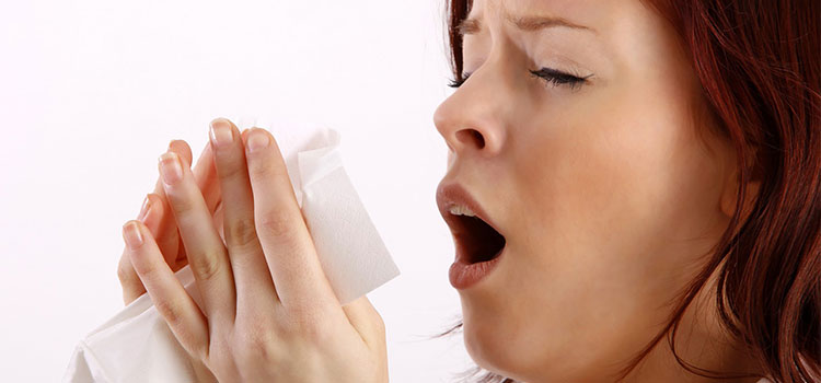 prevenir les aL·lèrgies a casa