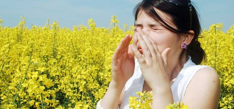 Consells per prevenir la rinitis al·lèrgica