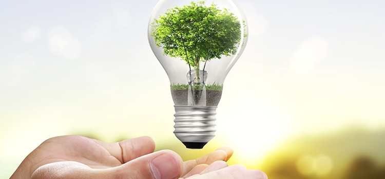 estalviar energia aquesta primavera