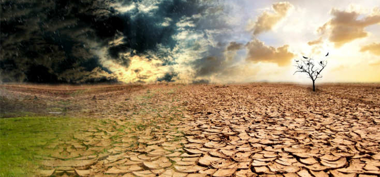 efectes a curt termini