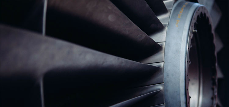 Las-claves-para-frenar-la-legionela