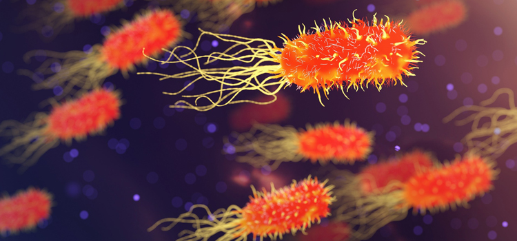 Enfermedades respiratorias