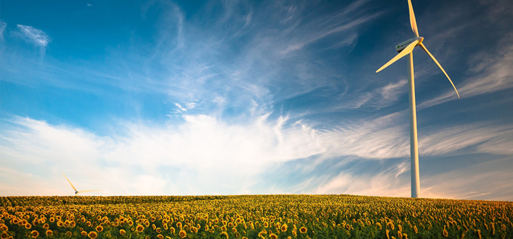 Renovables 2050 cast