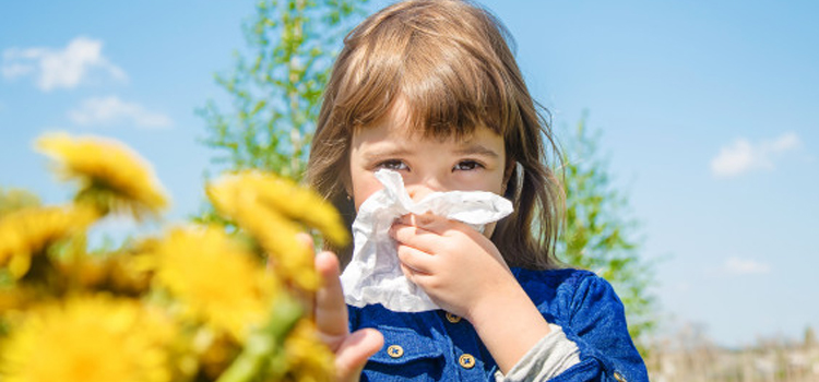 alergia primavera